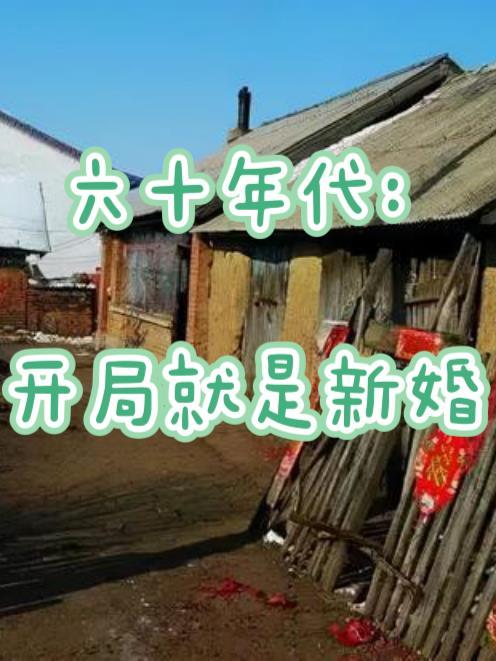 六十年代:开局就是新婚