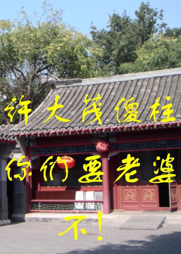 四合院:许大茂傻柱你们要老婆不