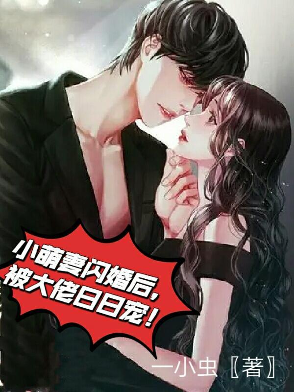 小萌妻闪婚后,被大佬日日宠!