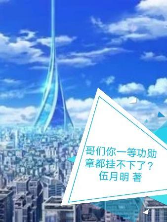 哥们?你一等功勋章都挂不下了?