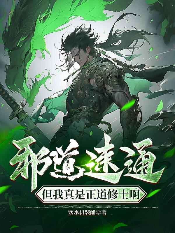 邪道速通,但我真是正道修士啊