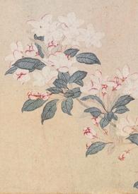 撷春色(强取豪夺)