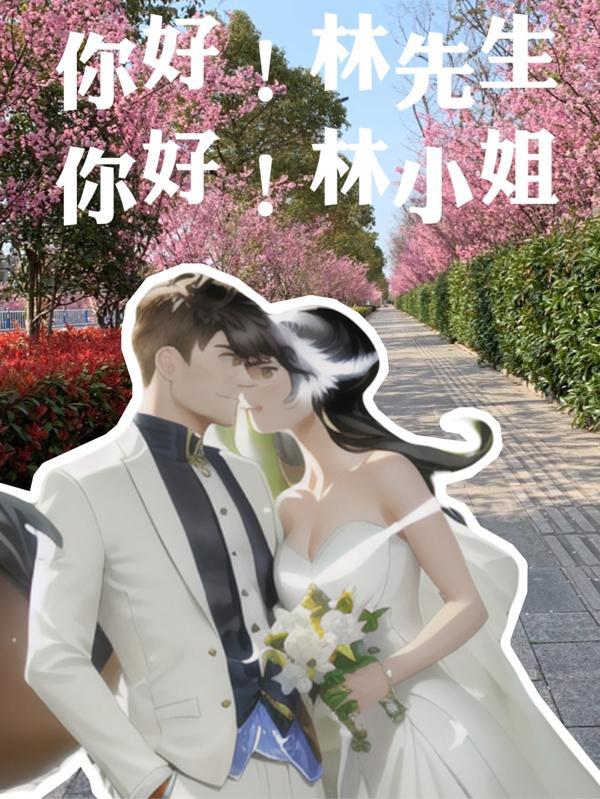 你好,林先生!你好,林小姐