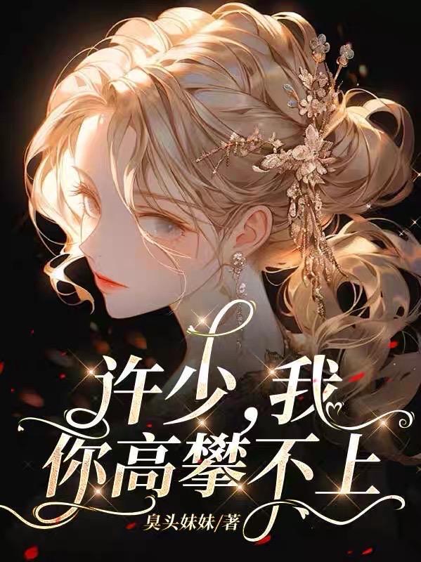 许少,我,你高攀不上