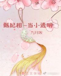 [红楼]甄妃想当小透明