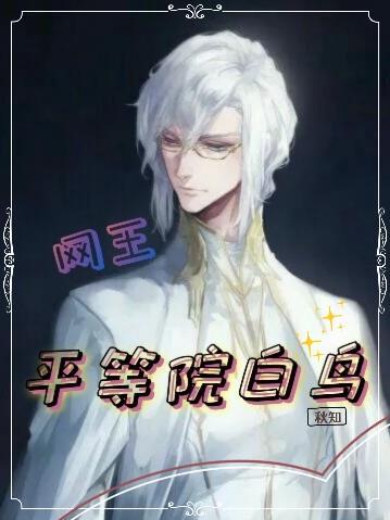 网王:平等院白鸟