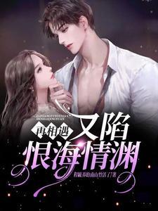 再相遇,又陷恨海情渊