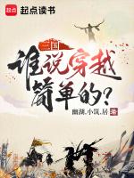 三国:谁说穿越简单的?