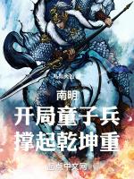 南明:开局童子兵,撑起乾坤重