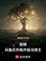 巫师:从加点升级开始当领主