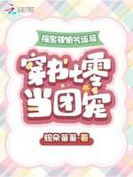 福宝被偷气运后，穿书七零当团宠