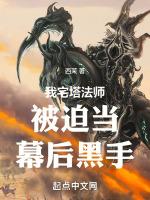 我,宅塔法师,被迫当幕后黑手