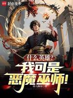 什么英雄?我可是恶魔巫师!
