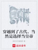 穿越到了古代，当然是选择当皇帝