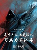 我自己认为是路人,可实力不认为