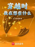 穿越时,我在想些什么