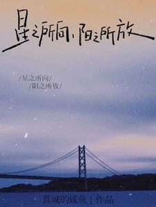 星之所向,阳之所放