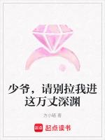 少爷,请别拉我进这万丈深渊