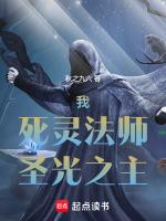 我,死灵法师,圣光之主