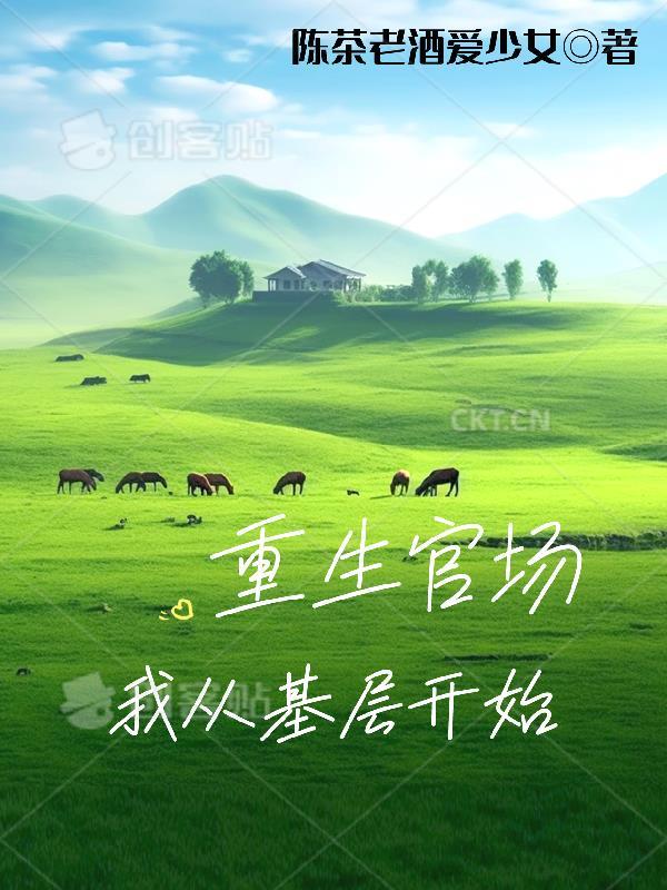 重生官场:我从基层开始