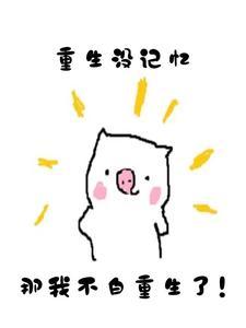 重生没记忆,那我不白重生了!