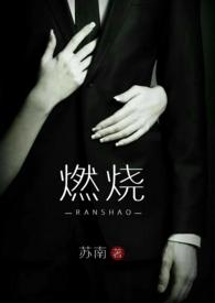 燃烧 (高干 高H)