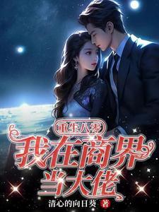 重生八零:我在商界当大佬