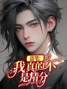 盗笔:我真的不是精分