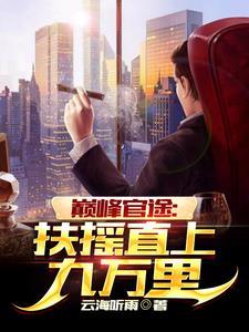 巅峰官途:扶摇直上九万里!