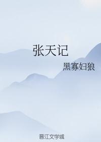 张天记