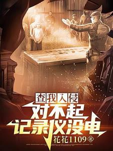 查我入侵,对不起,记录仪没电