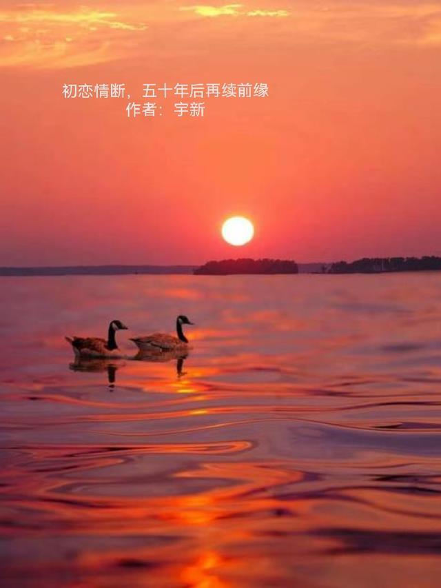 初恋情断,五十年后再续前缘
