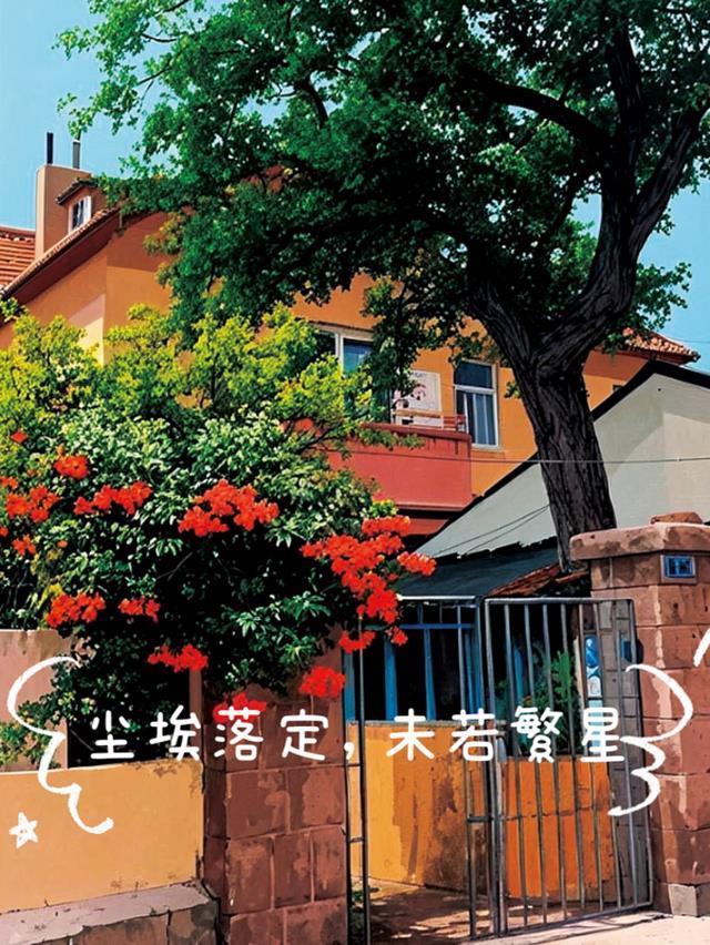 尘埃落定,未若繁星