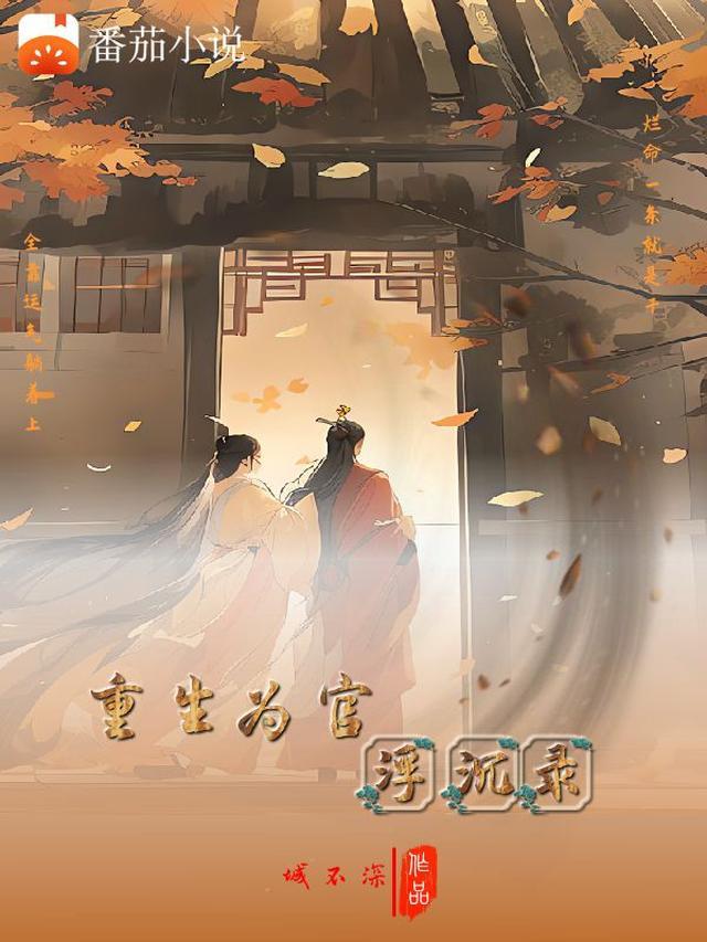 重生为官：浮沉录