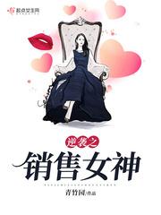 逆袭之销售女神