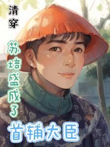 清穿:苏培盛成了首辅大臣