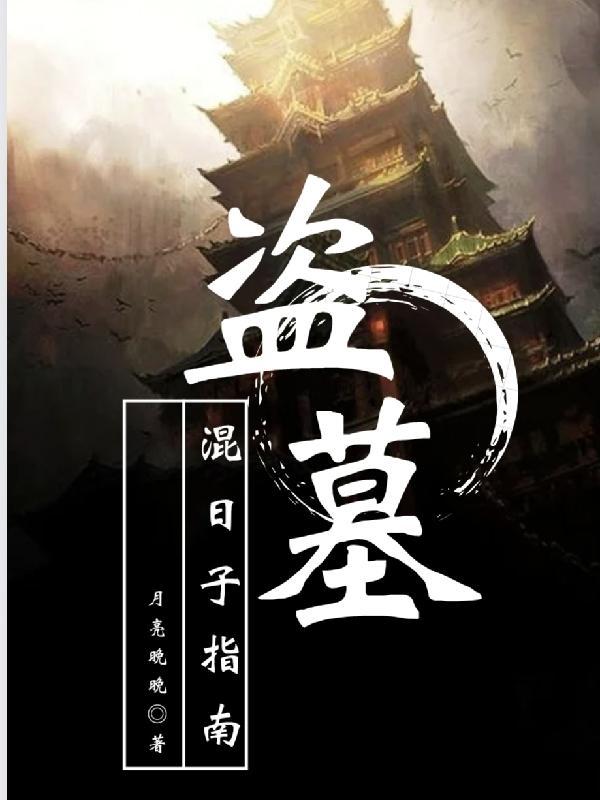 盗墓:混日子指南