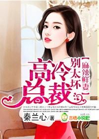 麻辣鲜妻,高冷总裁别太坏