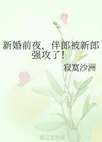 新婚前夜,伴郎被新郎强攻了!