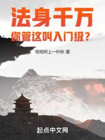 法身千万,你管这叫入门级?