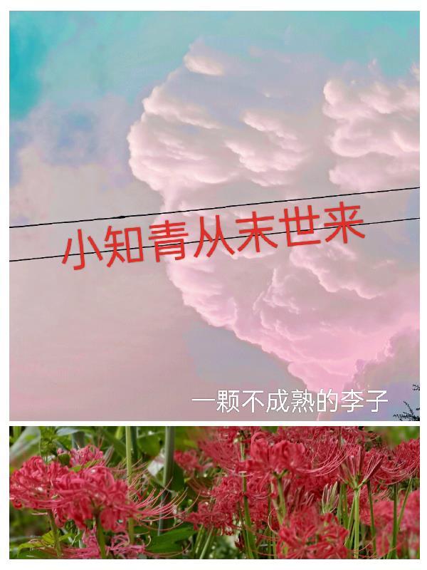 小知青从末世来