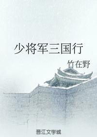 少将军三国行