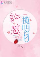 许愿揽明月