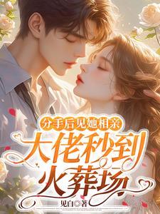 分手后见她相亲,大佬秒到火葬场