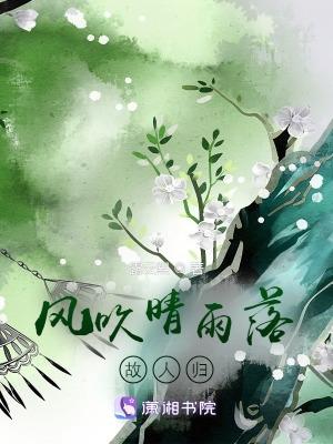 风吹晴雨落,故人归