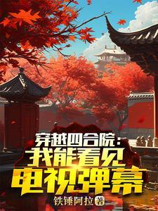 人在四合院:我能看见弹幕