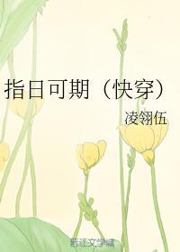 指日可期(快穿)