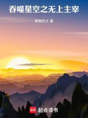 吞噬星空之无上主宰