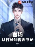 官场:从村长到省委书记