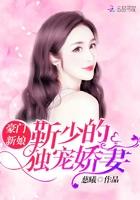 豪门新娘:靳少的独宠娇妻